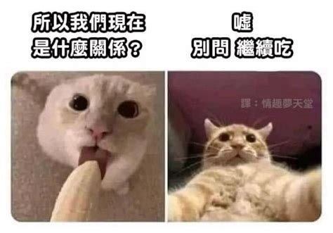 所以我們現在是什麼關係|「所以你們現在到底是什麼關係？」